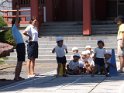 DSCF6956