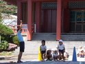 DSCF6981
