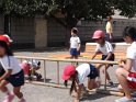 DSCF7081