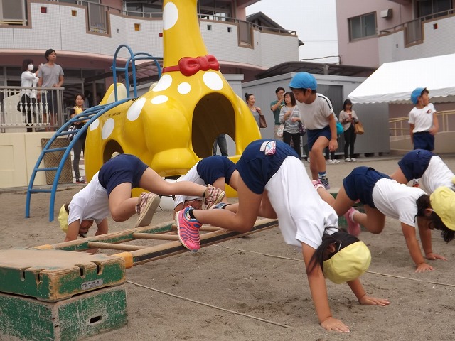 DSCF7356