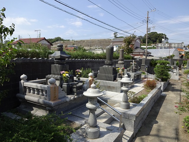 DSC00180