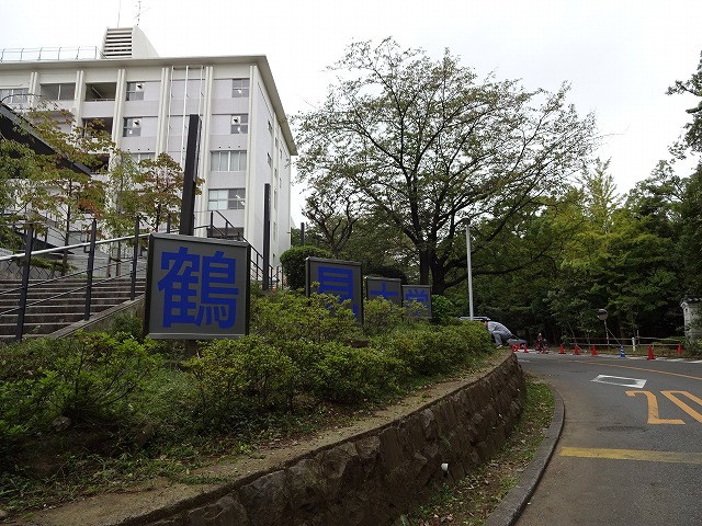 DSC00262