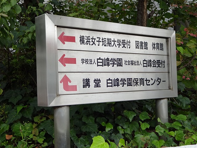 DSC00274