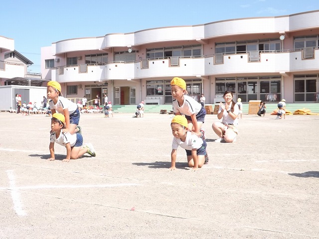 DSCF7565