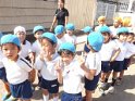 DSCF7532