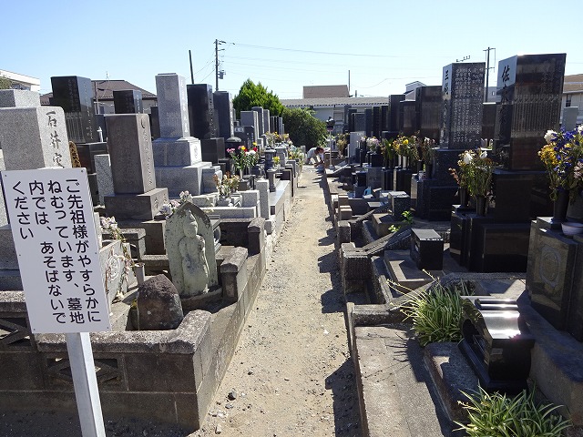 DSC00419