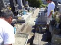 DSC00406
