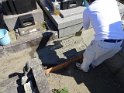 DSC00409