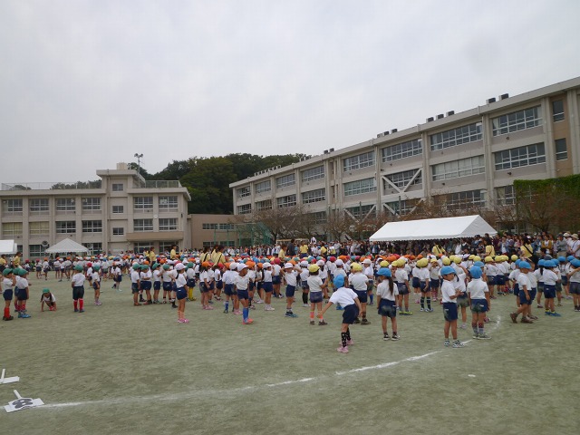 P1170534