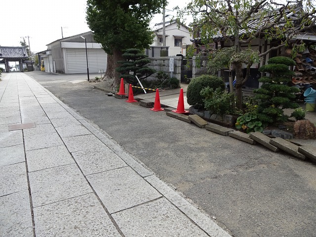 DSC00454