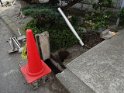 DSC00456