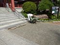 DSC00457