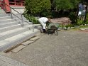 DSC00458