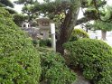 DSC00461