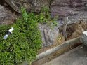 DSC00464