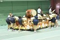 _DSC0177