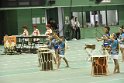 _DSC0245
