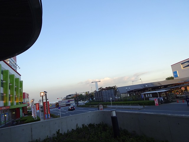 DSC00537