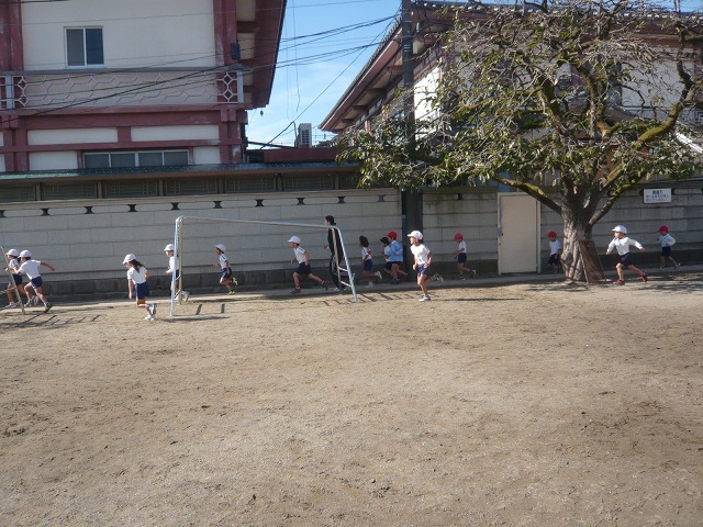 P2010006