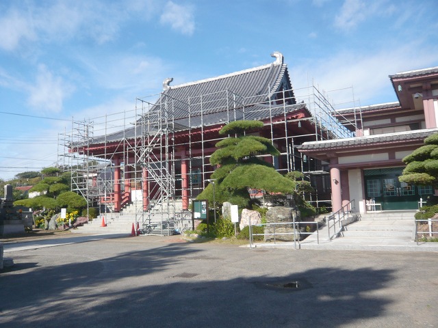 P2010009