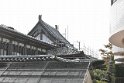 _DSC0225